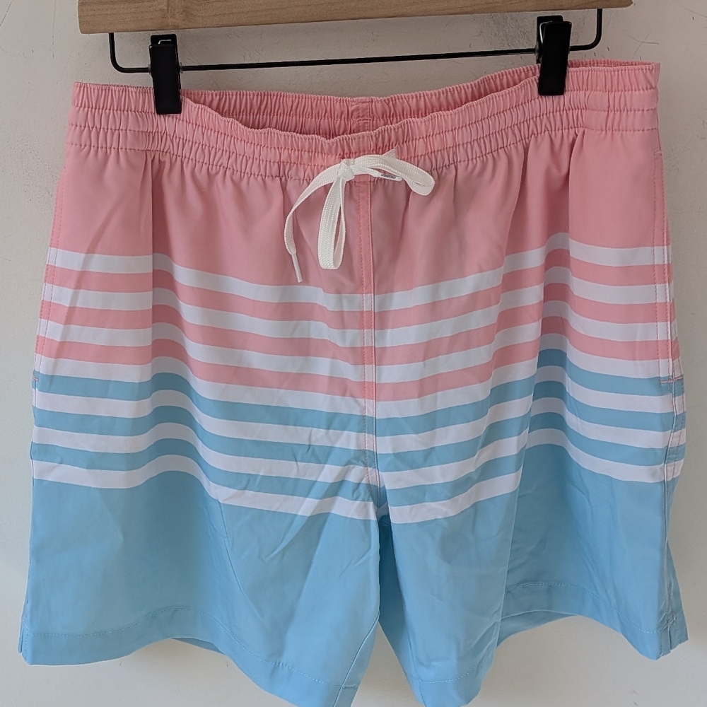 Chubbies Men's Pink Blue On the Horizon 5.5" Inseam Swim Trunks Large